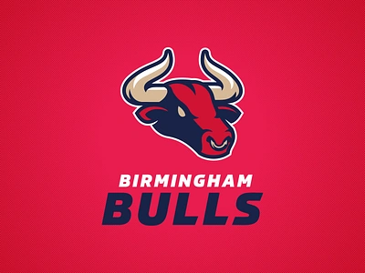 Birmingham Bulls american football birmingham branding design england football graphic design logo united kingdom