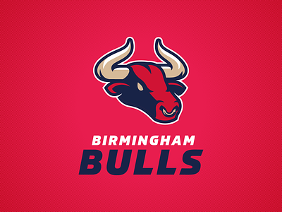 Birmingham Bulls american football birmingham branding design england football graphic design logo united kingdom