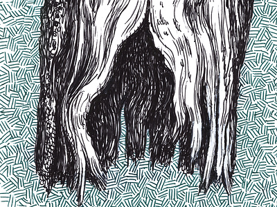 Log art artist artwork drawing hand drawn illustration ink log nature tree wood