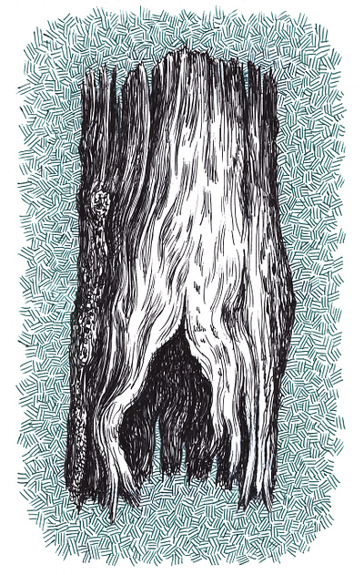 Log art artist artwork drawing hand drawn illustration ink log nature tree wood