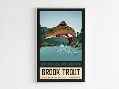 Brook Trout Poster adventure brook trout illustration poster poster design retro trout poster vintage vintage poster wildlife wildlife poster