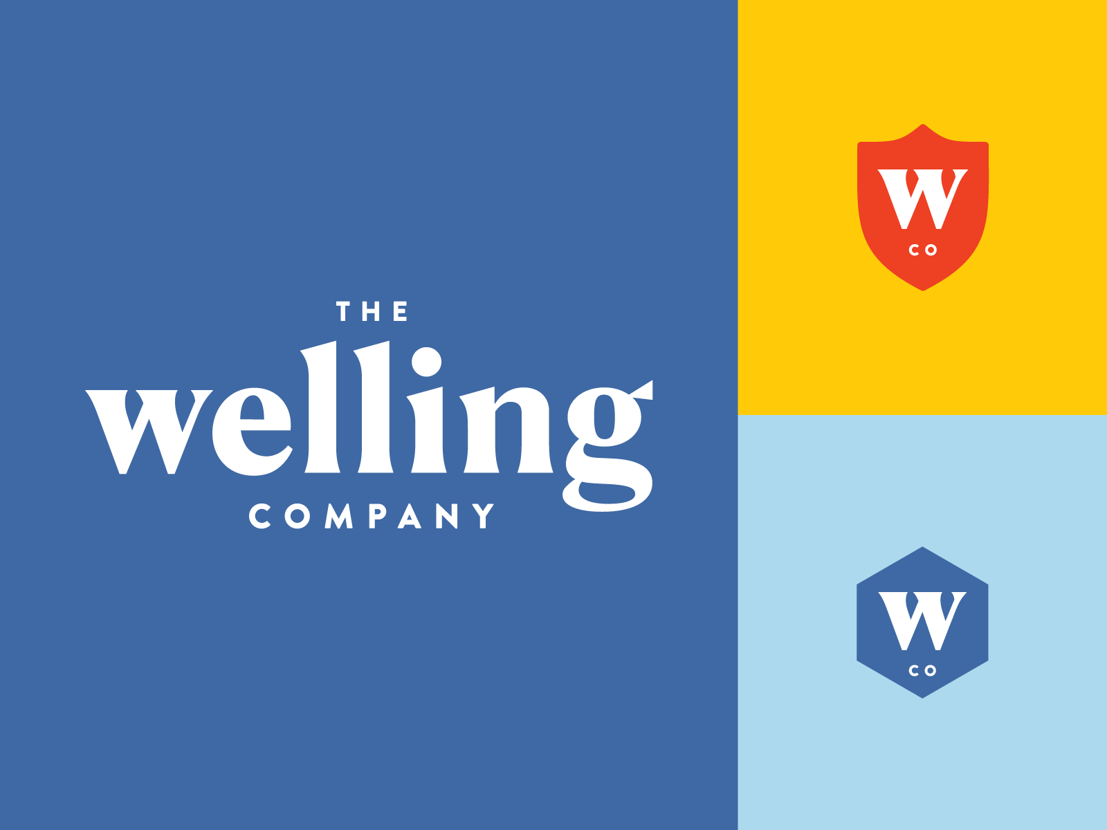 The Welling Company art direction bcaa brand branding cpg design food graphic design illustrations logo packaging powder supplements wellness