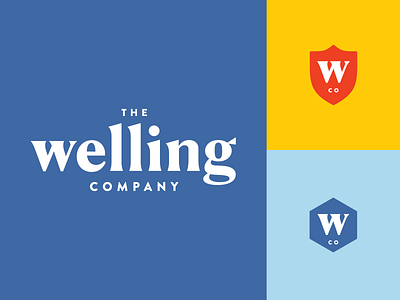 The Welling Company art direction bcaa brand branding cpg design food graphic design illustrations logo packaging powder supplements wellness