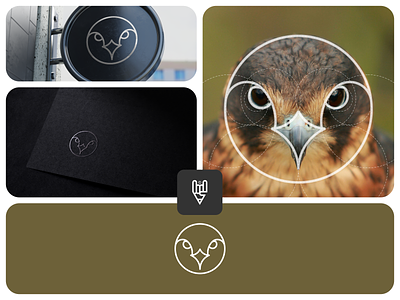 Eagle Logo Design app branding design eagle falcon flat graphic design icon illustration logo ui vector