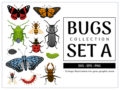 Bugs Collection Set A animal bug cartoon character clipart collection design element illustration insect set vector