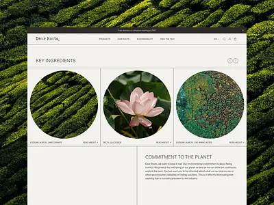 Dear roots | Website bold branding business creative design graphic design layout product trending ui ux web design website.