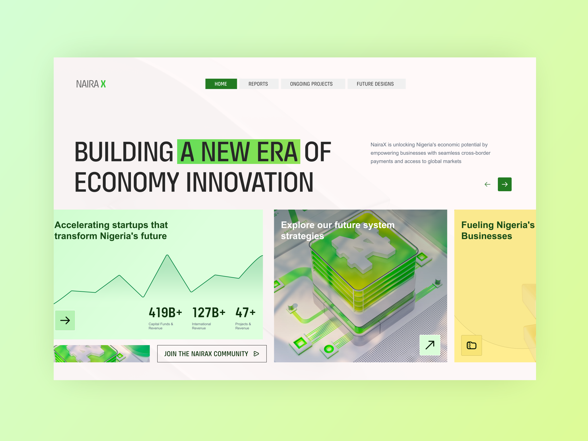 Naira X Website: UI Animation aftereffect animation branding motion graphics ui website