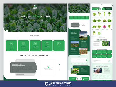 GC / onepage / webdesign green holding mariuszkunc onepage ui design ui ux webdesign website zdrowie