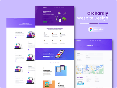 Orchardly Website Design design ui ui design uiux ux ux design website website design