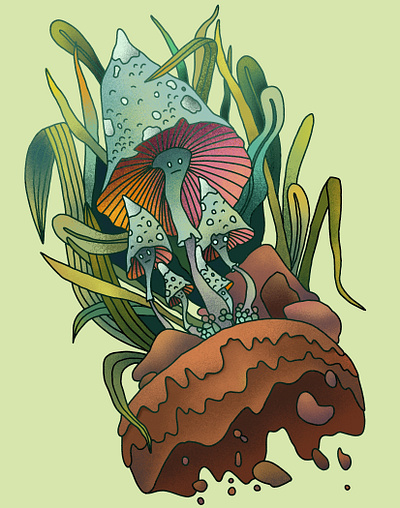 Wild mushrooms draw graphic design handdraw illustration motion graphics