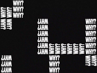 Why? after effects animation kinetic kinetic typography motion motion graphics type type animation typography typography animation why