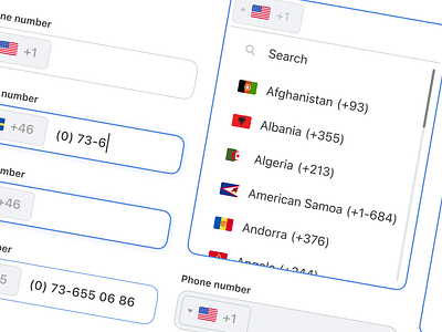 Dropdown — Daily UI #027 area code contact contact form country code daily daily ui 027 dailyui dailyui027 dropdown fill form input phone number ui ux