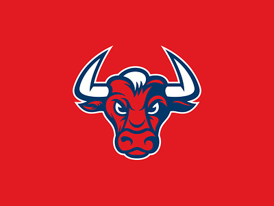 Saint Agnes, Primary aggies athletics branding bull college logo mascot school sports