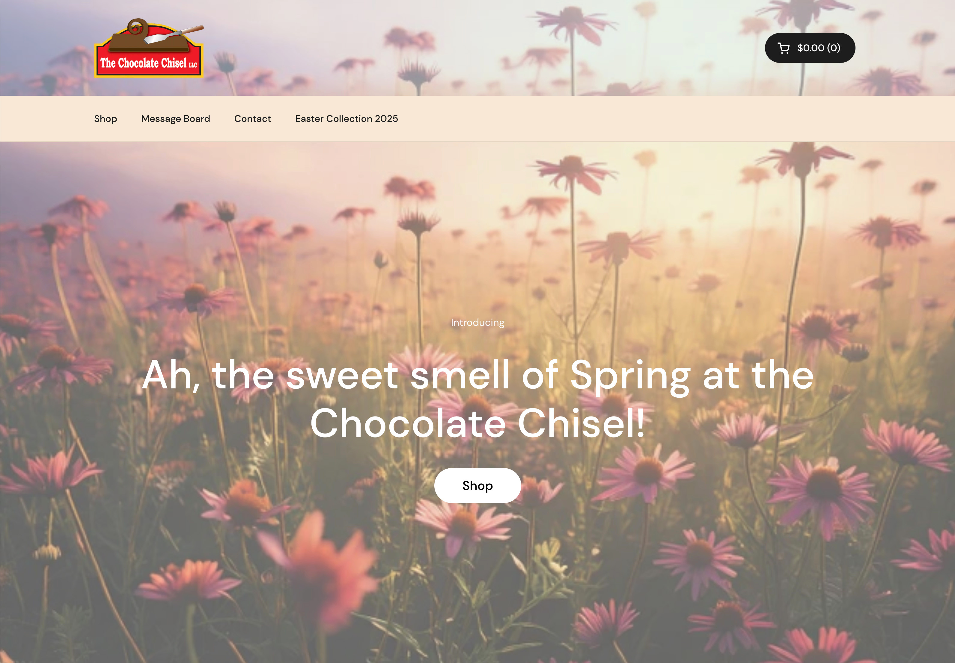 Chocolate Chisel (Homepage iterations)