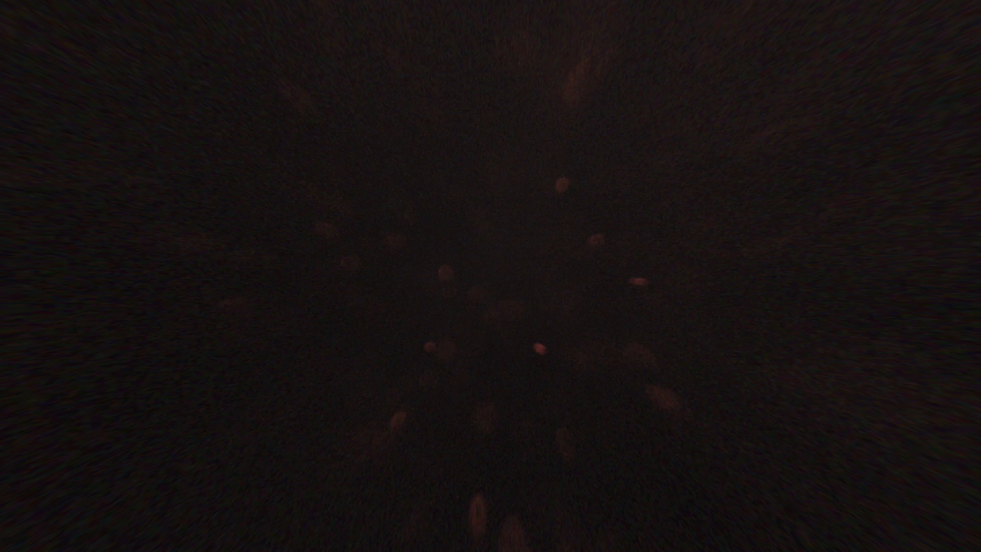 Example of Logo Intro Animation