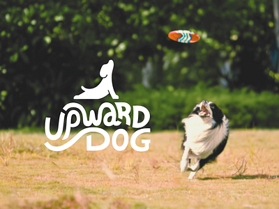 Upward Dog