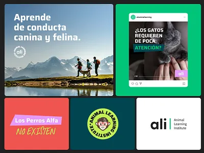 Ali - Animal Learning Institute animal behavior animals barcelona branding cats costa rica courses dogs education icon identity logo logotype mark pet brand pets spain