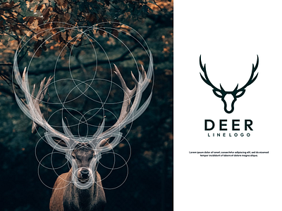 Deer Logo Line branding design graphic design icon illustration logo logo design logotype ui vector