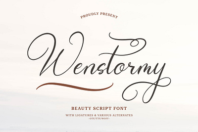 Wenstormy | Calligraphy Script minimalist font watermark font