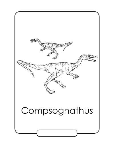 Compsognathus coloring page animation graphic design