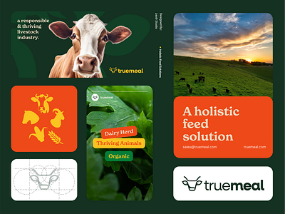 Branding & Logo Mark Design - Cattle Feed Nutrition Supplement animal branding bull clean construction cow design food graphic design green illustrations line logo mark minimal modern red vibrant visual brand yellow