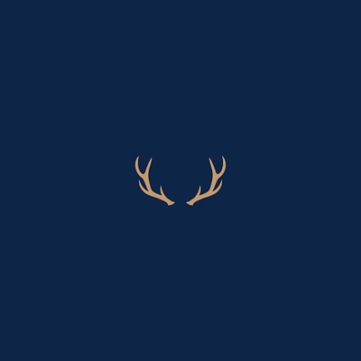Antler/ Deer horn logo animal antler antler logo branding deer horn design elk graphic design horn logo illustration logo logodesign logotype