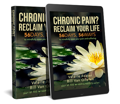 Chronic Pain? Reclaim Your Life Cover Design book book cover book cover designer cover designer graphic design kdp book cover
