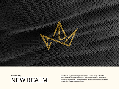 New Realm Esports | Brand Identity brand identity branding esports esports brand esports brand identity esports team graphic design logo logo and branding logo design social media visual identity