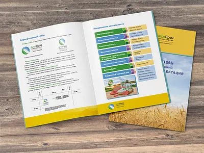 Corporate booklet for an agro-industrial company branding design graphic design illustration