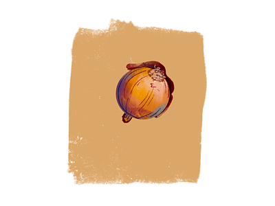 Onion drawing food foods onion procreate quick sketch tablet