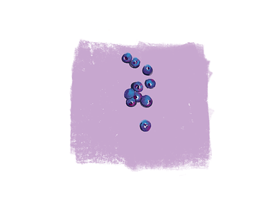 Berries berries drawing food foods fruit herbs ipad procreate quick sketch