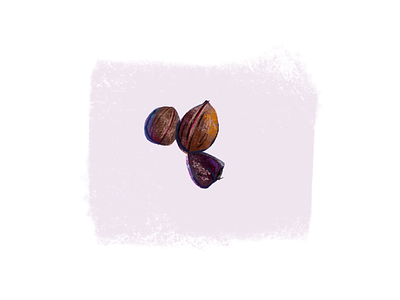 Nuts drawing food foods fun illustration ipad nut nuts pixel procreate quick sketch