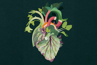 Healthy Heart anatomy conceptual digital editorial flat folioart food health heart illustration medicine sally caulwell vector