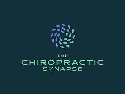 The Chiropractic Synapse Logo branding colors healthcare logo medical pharma