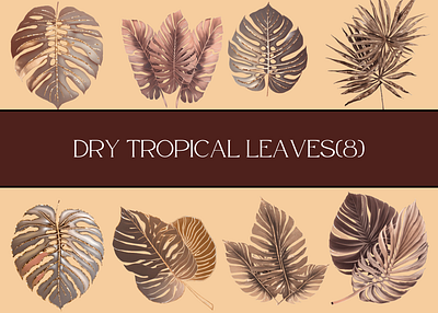 Dry tropical leaves bohemian boho copper design dry leaves graphic design leaves tropical leaves vintage watercolor