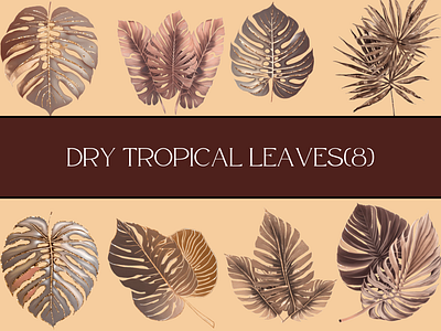 Dry tropical leaves bohemian boho copper design dry leaves graphic design leaves tropical leaves vintage watercolor
