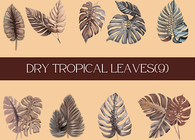 Dry tropical leaves abstract bohemian boho design graphic design leaves tropical tropical leaves vintage watercolor watercolor leaves