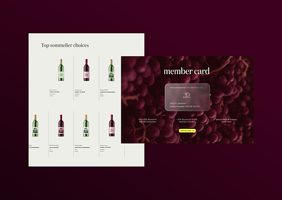 Sommelier Course + Wine Store e commerce sommelier ui web design wine