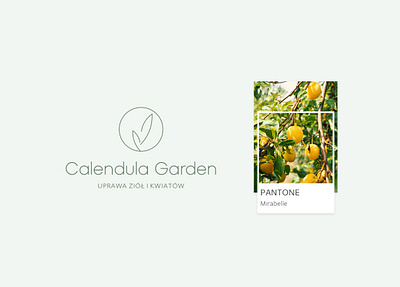 Calendula Garden __brand identity brand brand identity branding design garden illustration logo pantone plants ui ux web design webdesign