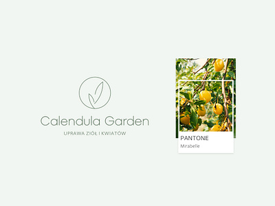 Calendula Garden __brand identity brand brand identity branding design garden illustration logo pantone plants ui ux web design webdesign