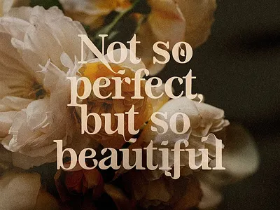 Olive Branch Serif Font branch font creativeqube design font instagram font invites leaf font ligatures logo modern font modern serif print quotes font serif stem font stylistic alternates type typeface vintage font