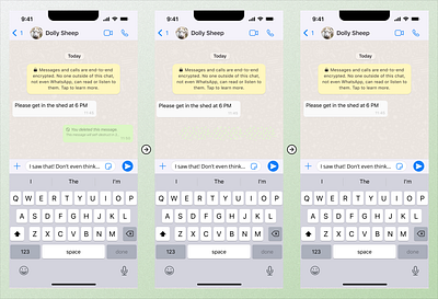 WhatsApp Self Destruct Message app design ui web