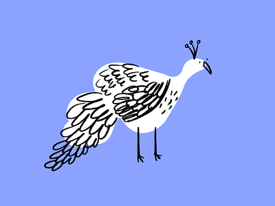 Peacockin' 🦚 bird design doodle funny illo illustration lol peacock sketch