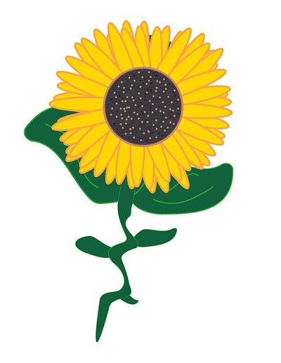 sunflower, one chriscreates chrismogren design drawing flower illustration sunflower yellow