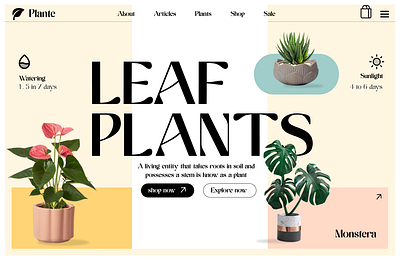 Plante figma graphic design illustration indoor plants landing page plants uiux