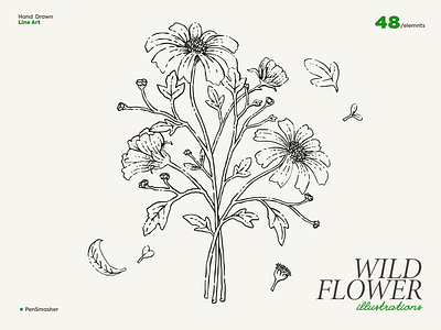 48 Wild Flower Hand Drawn illustrations botanical clip art floral flower hand drawn illustration line art svg wild flower