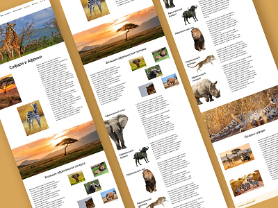 Longread Safari in Africa design longread ui ux web design longrid