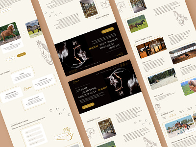 Landing Horse club design landing ui ux web design