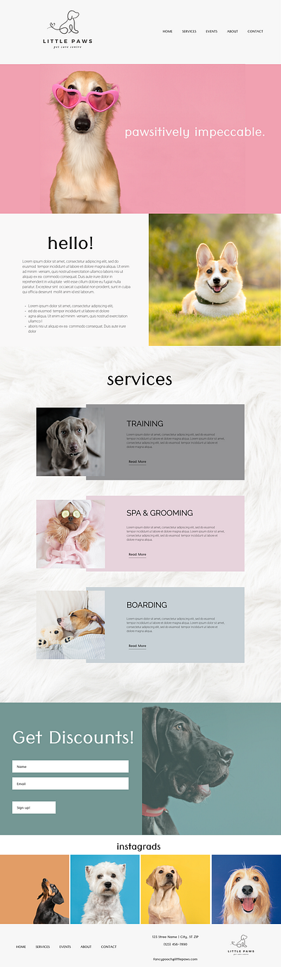 Little Paws Pet Care Mockup design layout web design