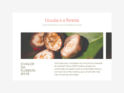 Natura EKOS Ucuuba art direction ui